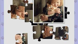 1001 Jigsaw. Cute Cats 5