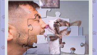 1001 Jigsaw. Cute Cats 5