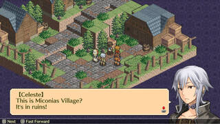 Mercenaries Saga 3 -Gray Wolves of War-