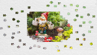 Gnome Enchanted Jigsaw Puzzles