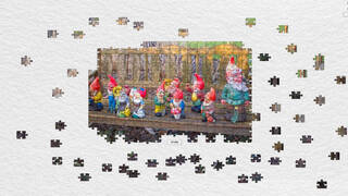 Gnome Enchanted Jigsaw Puzzles