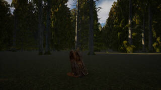 Stump Simulator