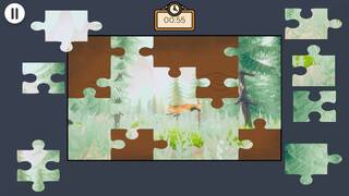 Jigsaw Puzzle Nature