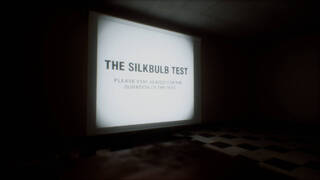 silkbulb test