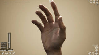 HAELE 3D - Hand Poses Lite - Drawing References