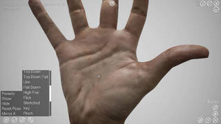 HAELE 3D - Hand Poses Lite - Drawing References