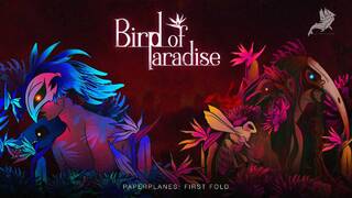 Bird of Paradise