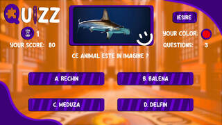 Quizz