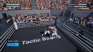 Tactic Boxing