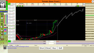 Stock:Retail investors