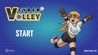 Cyber Volley