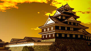 Shogun Castle