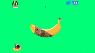 Banana Cat