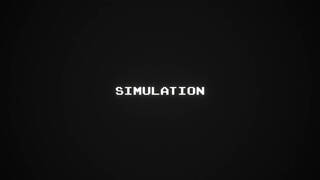 Simulation