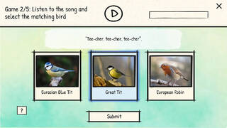 BirdLingo: A birdsong learning game