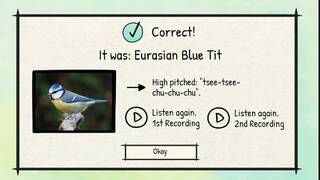 BirdLingo: A birdsong learning game