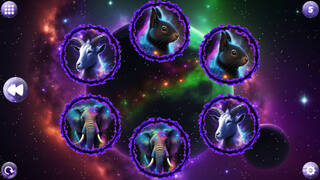 Space Memory: Animals