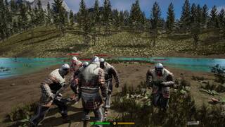 Multiplayer Vikings