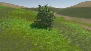 Bush Simulator