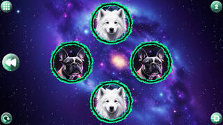 Space Memory: Dogs