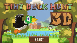 TINY DUCK HUNT 3D