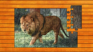 Big Cat Jigsaw Quest