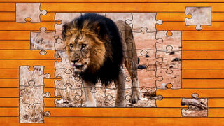 Big Cat Jigsaw Quest