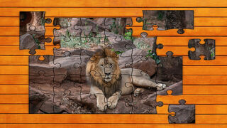 Big Cat Jigsaw Quest