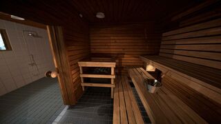 The Sauna Game