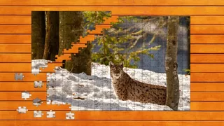 Wild Lynx Jigsaw