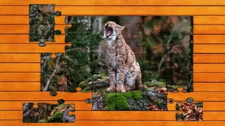 Wild Lynx Jigsaw