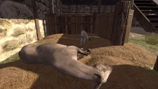 Medieval Horse Dealer Simulator