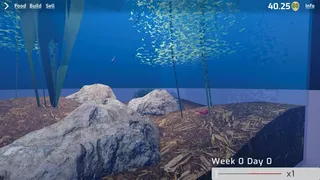 Shrimp Keeping Simulator