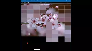 Brick Breaker: Eliminate Mosaic and Reveal Beauty 打砖块: 消除马赛克 揭开真面目