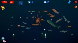 How Much Items - Fishes