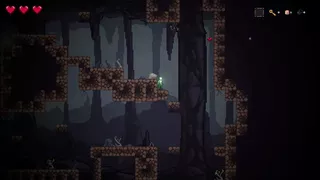 Hollowroot