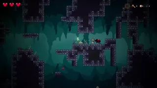 Hollowroot