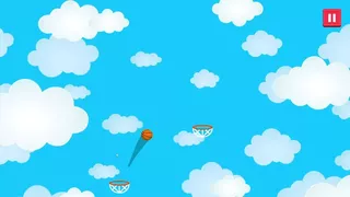 SkyDunker