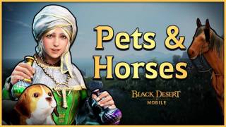 Видео о петах и маунтах в Black Desert Mobile