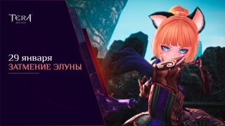 Класс Валькирия в TERA Online станет доступен для расы Элин 