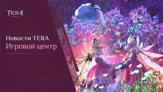 Игроки Mail.ru-версии TERA все-таки смогут сохранить прогресс после закрытия RU-сервера