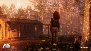 Бывшие сотрудники Quantic Dream выпустят сюжетную игру As Dusk Falls