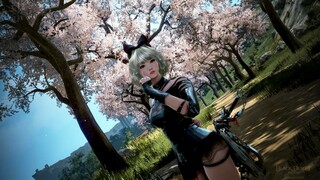 В Black Desert начался «Фестиваль воды»