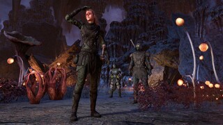 В The Elder Scrolls Online появится новый способ получать предметы из кронных ящиков