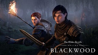 Спутники смогут скрасить ваши странствия в The Elder Scrolls Online