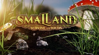 Новый конкурент Grounded — В раннем доступе вышел симулятор выживания Smalland: Survive the Wilds