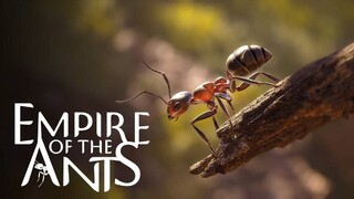 Состоялся релиз стратегии про муравьев Empire of the Ants