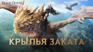 Впервые с запуска в MMORPG Black Desert появился летающий маунт